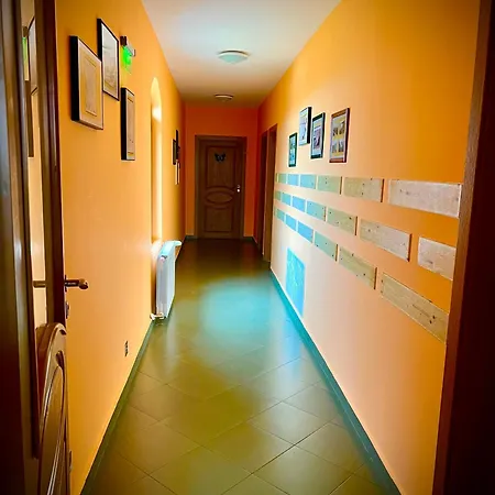 Petra- Medovo, Sunny Medovo