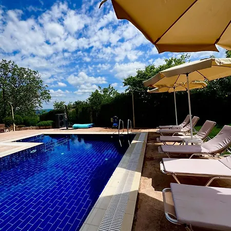 Petra- Medovo, Sunny *