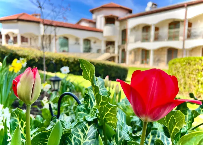 Petra- Medovo, Sunny Къща за гости