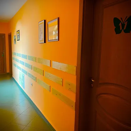 Guest house Petra- Medovo, Sunny *