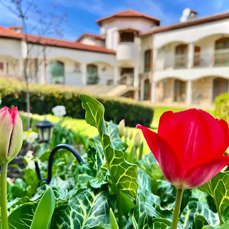 Petra- Medovo, Sunny בית הארחה